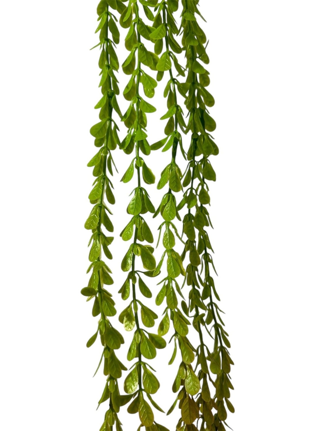 Artificial Flower Two-Color Ivy Huajia Branch - pzsku/Z5B3A625D62C020F2A0C8Z/45/_/1730722831/56ab7350-95ed-4b86-8168-0e9482d84c9e