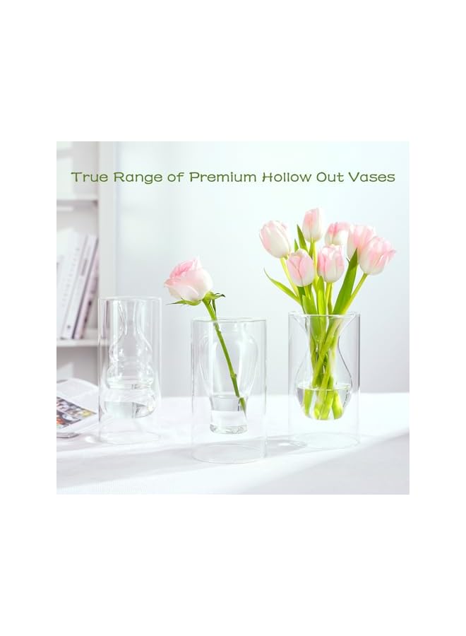 The Bros مزهرية زهور زجاجية شفافة على شكل فقاعات، مزهرية زجاجية حديثة مصنوعة يدويًا ومجوفة للزينة في حفلات الزفاف، ديكور منزلي لباقة صغيرة. - Image 5