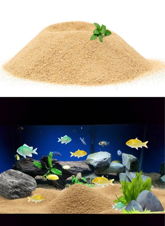 VAYINATO® 2.5 Kg Natural Nile River Sand for Aquarium Fish Tank | Enhance Your Aquarium with Aquarium Natural River Sand by Petzlifeworld - Image 1