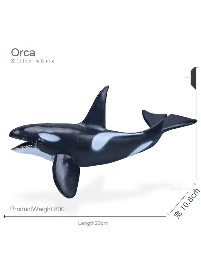 NIBEMINENT Realistic Ocean Creature Models - Shark and Blue Whale Toys