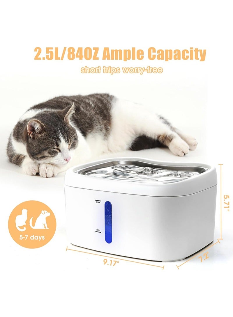 CITTA Pet Water Fountain - 2.5L/84oz with Silent Pump, Multi-Filter System, LED Light & Water Level Window - Hygienic Drinking Dispenser for Cats, Dogs & Pets - Image 2