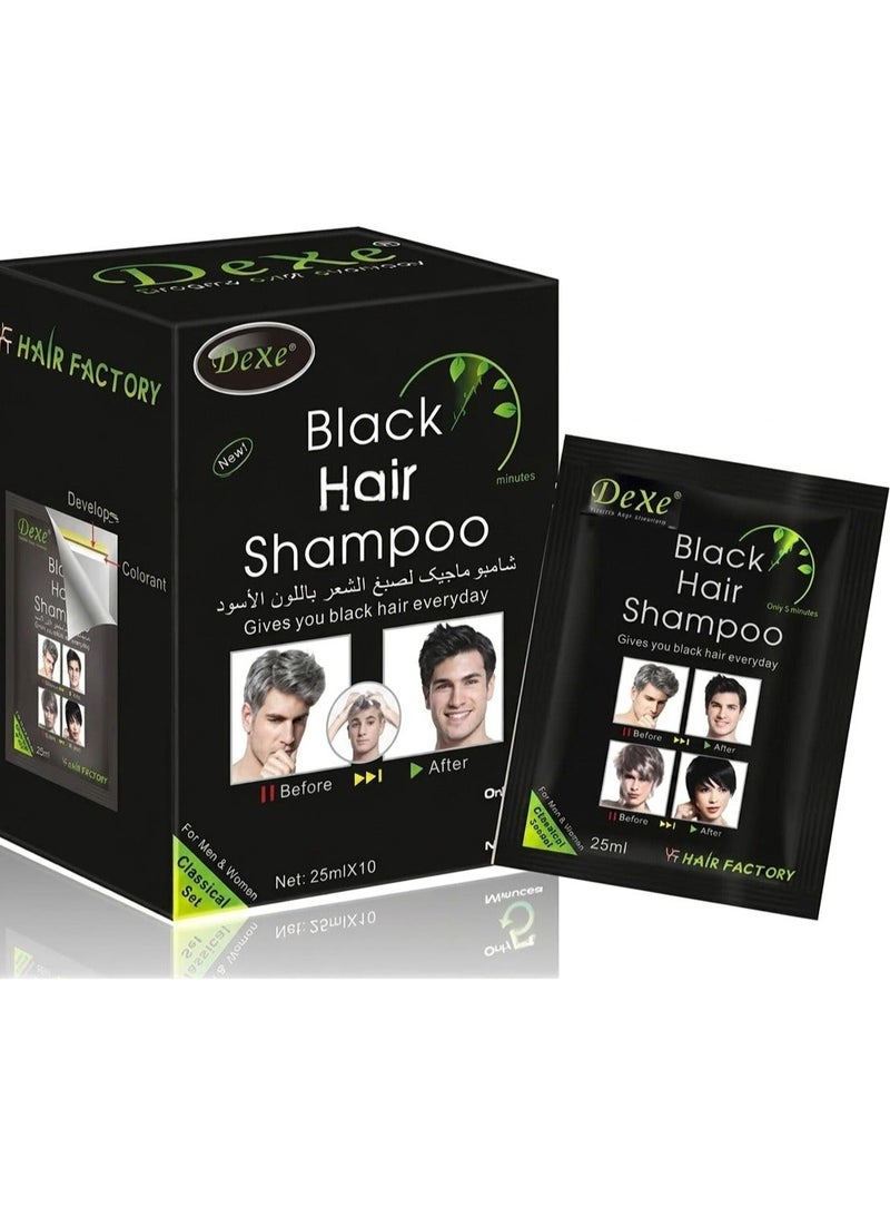 Dexe Black Hair Dye and Colouring Shampoo, 10 Sachets - Image 1