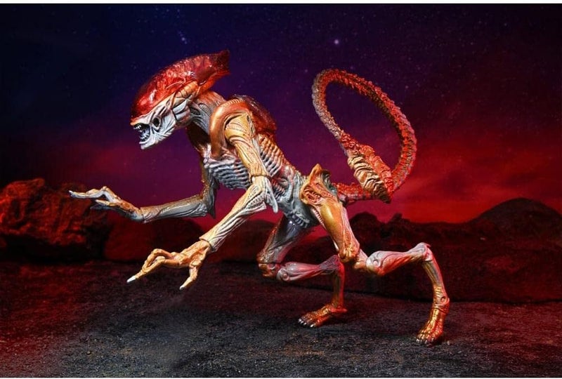 نيكا شخصية أكشن من NECA Aliens: تكريم كينر - النمر الفضائي النهائي بحجم 7 بوصات - Image 2
