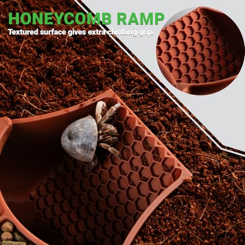 HERPDEN Hermit Crab Habitat Shelter with Dual Food Bowls, 2-in-1 Cave Shelter & Feeding Dish, Textured Climbing Ramp & Viewing Window, Hermit Crab Accessories for Habitat & Tank Setup (Brown) - Image 4