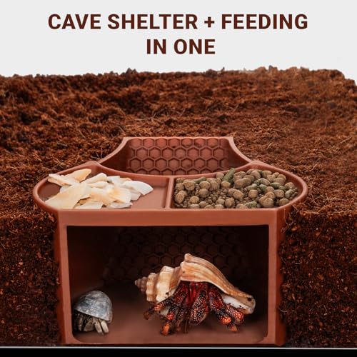 HERPDEN Hermit Crab Habitat Shelter with Dual Food Bowls, 2-in-1 Cave Shelter & Feeding Dish, Textured Climbing Ramp & Viewing Window, Hermit Crab Accessories for Habitat & Tank Setup (Brown) - Image 3