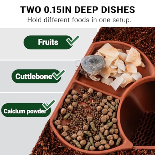 HERPDEN Hermit Crab Habitat Shelter with Dual Food Bowls, 2-in-1 Cave Shelter & Feeding Dish, Textured Climbing Ramp & Viewing Window, Hermit Crab Accessories for Habitat & Tank Setup (Brown) - Image 2