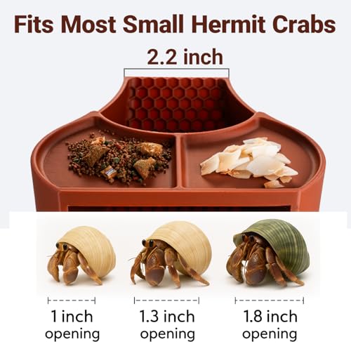 HERPDEN Hermit Crab Habitat Shelter with Dual Food Bowls, 2-in-1 Cave Shelter & Feeding Dish, Textured Climbing Ramp & Viewing Window, Hermit Crab Accessories for Habitat & Tank Setup (Brown) - Image 5