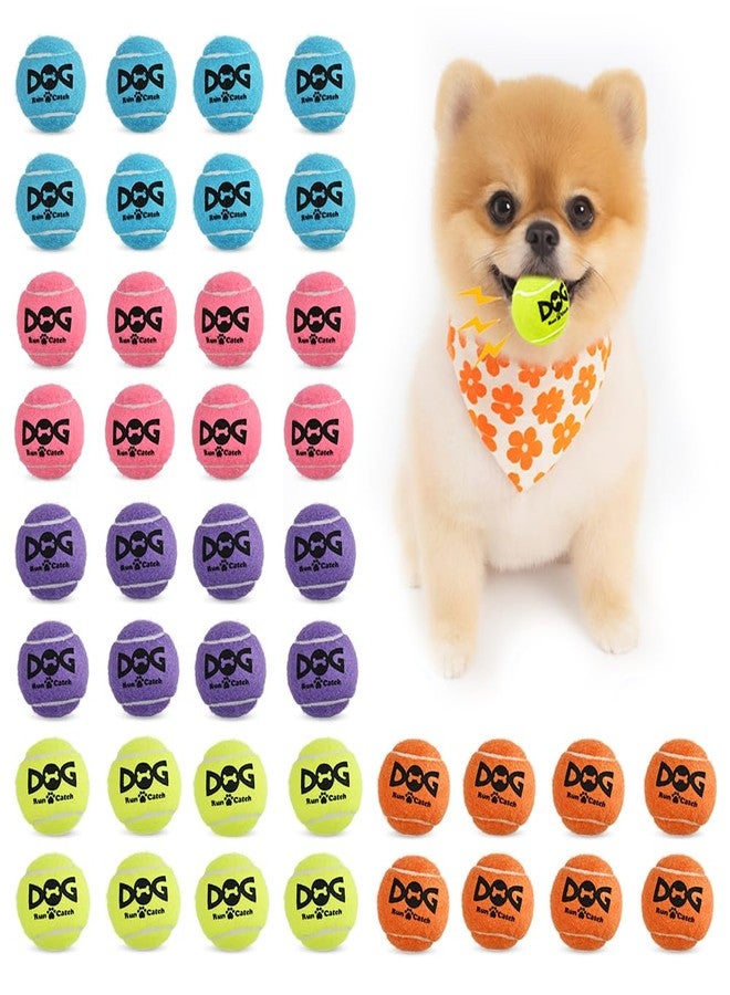 INSUM 40 Pack Small Tennis Balls for Dogs - 2 Inch Squeaky Dog Balls Toys with Mesh Bag, SGS Certified, Durable Non-Toxic, Built in Squeaker, Small Breeds - Image 1