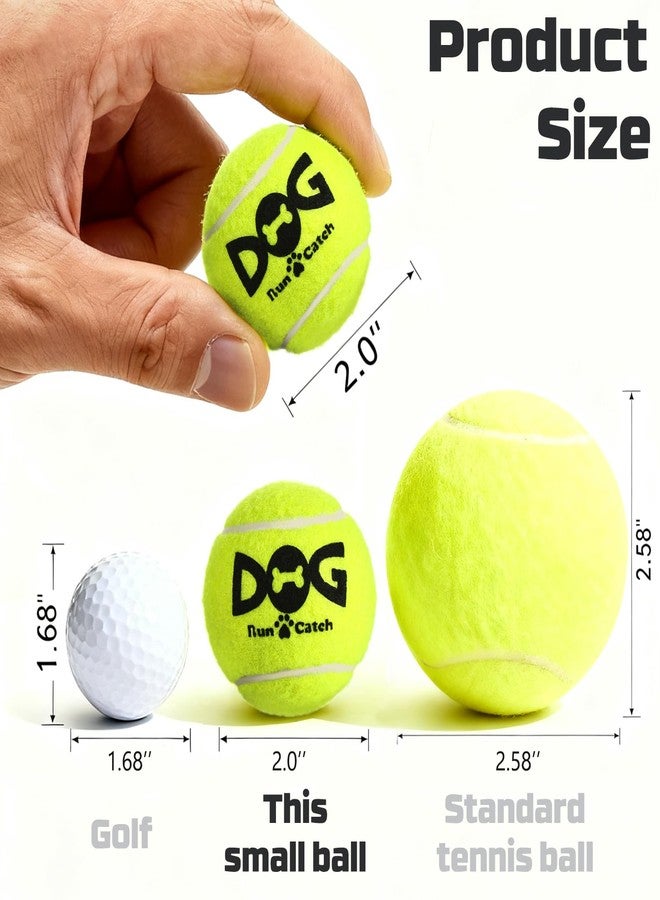 INSUM 40 Pack Small Tennis Balls for Dogs - 2 Inch Squeaky Dog Balls Toys with Mesh Bag, SGS Certified, Durable Non-Toxic, Built in Squeaker, Small Breeds - Image 3