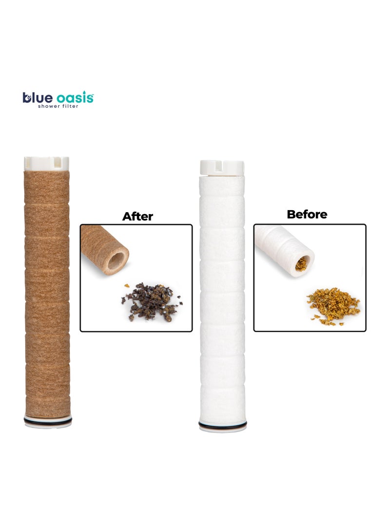  بلو أواسيس مجموعة فلتر الدش الأيوني بلو أواسيس | فلتر فردي فضي أسطواني و٤ خراطيش فلتر مزدوجة مع خرطوم دش ٢ متر | تم اختباره بواسطة تي يو في  | مجموعة دش فلتر مياه مثالية للبشرة والشعر الأكثر صحة - Image 5