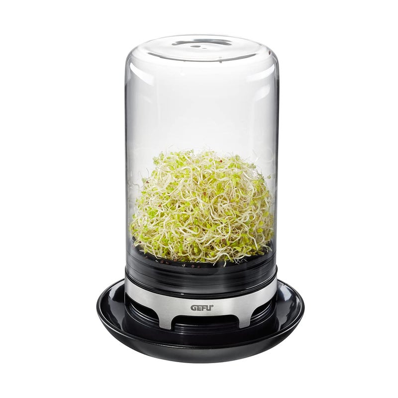GEFU SPROUTING JAR (Black) - Image 4