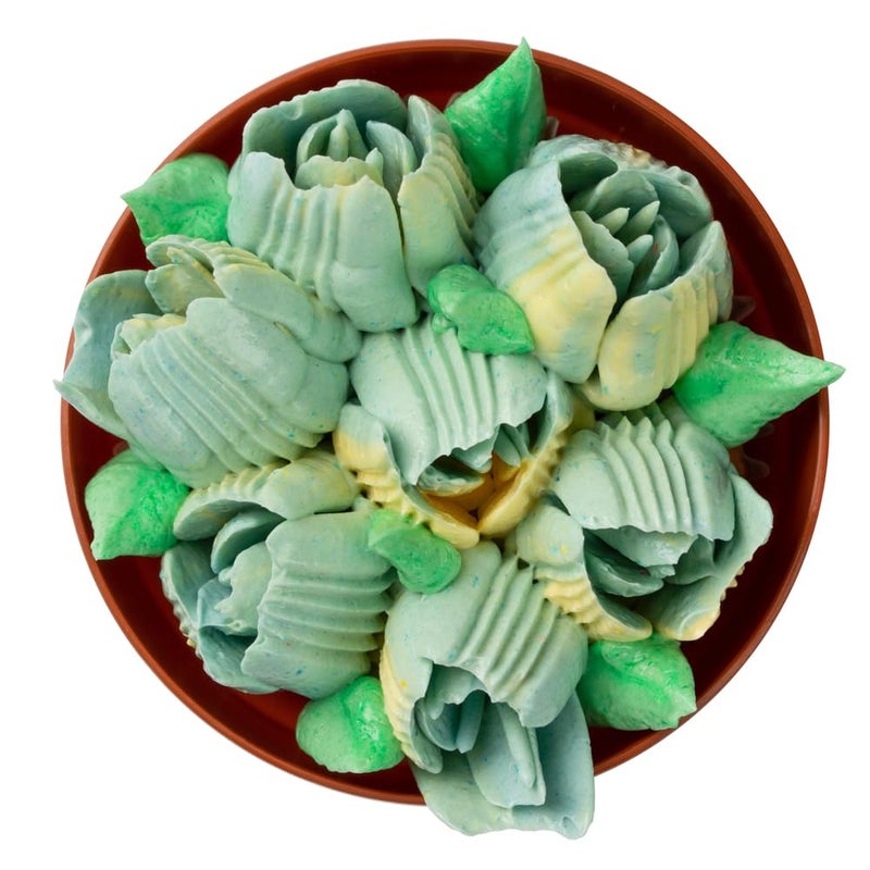 Restaurantware Pastry Tek Russian Piping Tip 1 Rose Cake Decor Piping Tip 9 CorrosionResistant Stainless Steel Decorating Tip For Frosting DishwasherSafe Decorate Cupcakes Cakes or Cookies