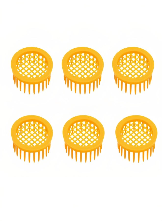 RyanDesign 6-Pack Plastic Queen Bee Cage - Reusable ABS Beekeeping Tool for Safe Queen Introduction, Transport & Isolation - Durable Ventilated Design for Busy Beekeepers - Image 1
