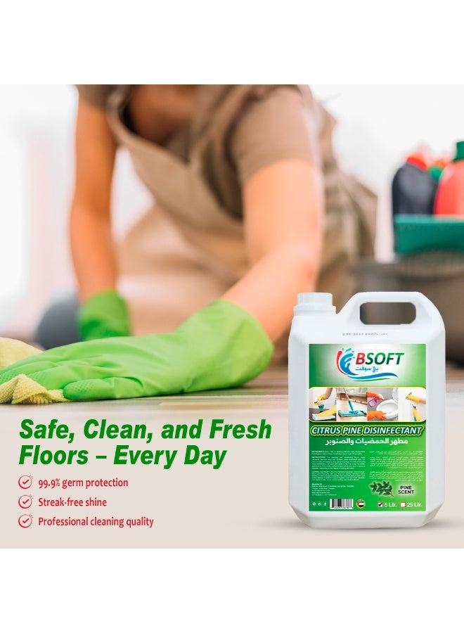 BSOFT Disinfectant Antibacterial Power Floor Cleaner Citrus Pine Scent 5L – Multi-Surface Cleaning Liquid, Removes Germs, Stains & Odors, Long-Lasting Freshness - Image 4