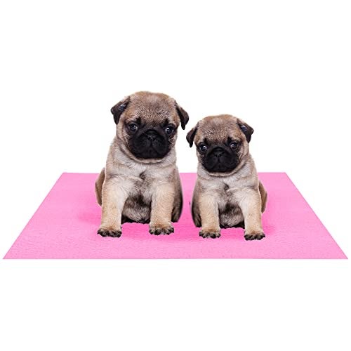 Amorite Washable Dog Pee Pad 70 X 50 Pink (Small) | Reusable Pee Pads for Dogs | Puppy Potty Training Mat | Indoor Pet Mat | Non-Slip Pee Mat for Dogs and Puppies - Image 1