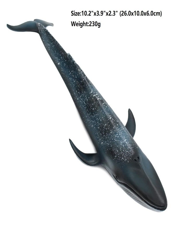 Wei Long Sea Animals Simulation Ocean Whale Toy Model Figures Toy Model Birthrday Gift Party School Project Favors Toys for Kid Boys Girls(Blue Whale) - Image 2
