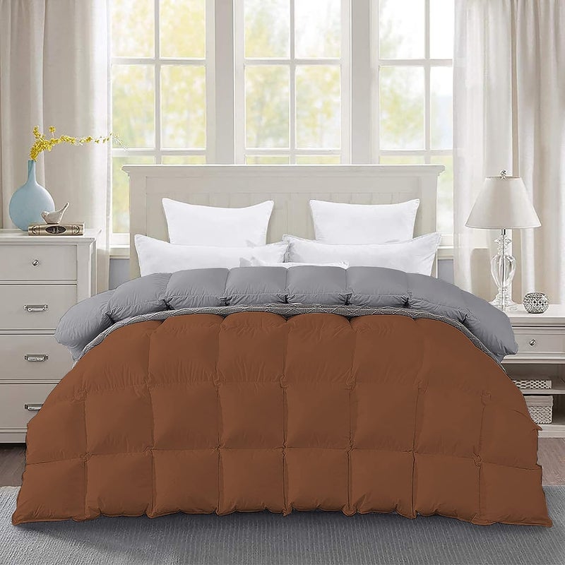 Filbert Premium 300 GSM Comforter Super Soft Fluffy Revesible Comforter 90 x 90 Inches228cm x 228cm Queen Size ComforterSilverChocolate Brown - Image 1