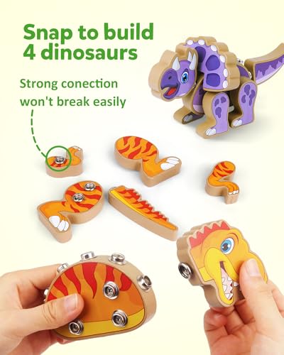 Coogam Build Your Own Dinosaurs Toy Snap Together Building Dinosaurs Playset Wooden STEM Take Apart Dinosaur Builder Montessoi Fine Motor Building Toy Gift for 3 4 5 Years Old Kids - Image 5