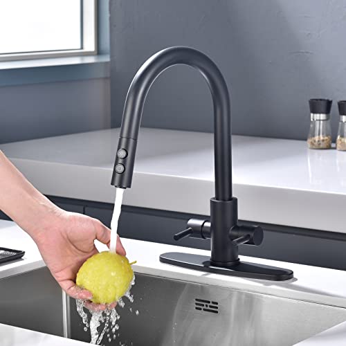PAKING Kitchen Faucet, Two Handles Sink Faucet with Sprayer, Stainless Steel, Matte Black, PB1047 - Image 2