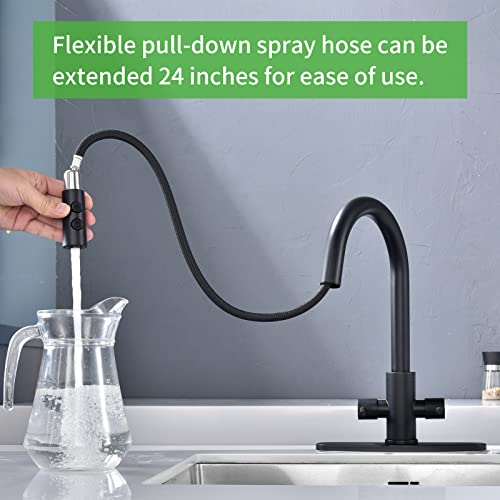 PAKING Kitchen Faucet, Two Handles Sink Faucet with Sprayer, Stainless Steel, Matte Black, PB1047 - Image 4