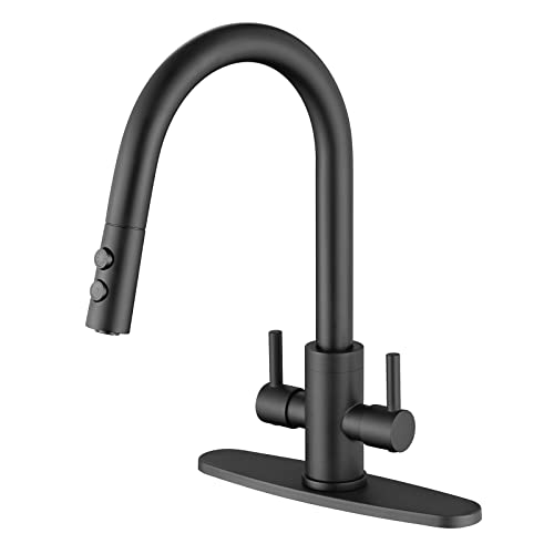 PAKING Kitchen Faucet, Two Handles Sink Faucet with Sprayer, Stainless Steel, Matte Black, PB1047 - Image 1