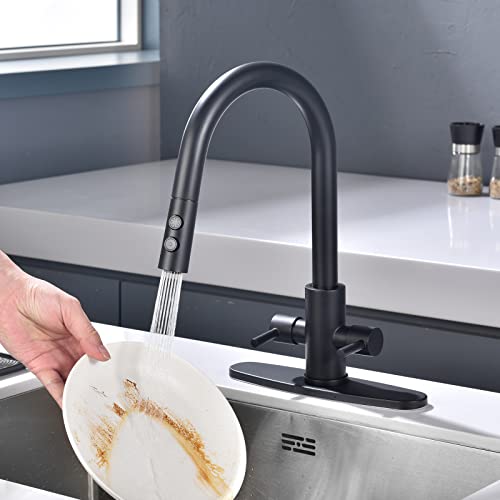 PAKING Kitchen Faucet, Two Handles Sink Faucet with Sprayer, Stainless Steel, Matte Black, PB1047 - Image 3