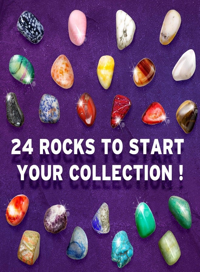 XXTOYS Rocks Collection 24 PCS Rock and Mineral Education Set Gemstones for Kids Geology Gem Kit with Tiger’s Eye Rose Quartz Red Jasper and More Identification Guide STEM Science Education - Image 4