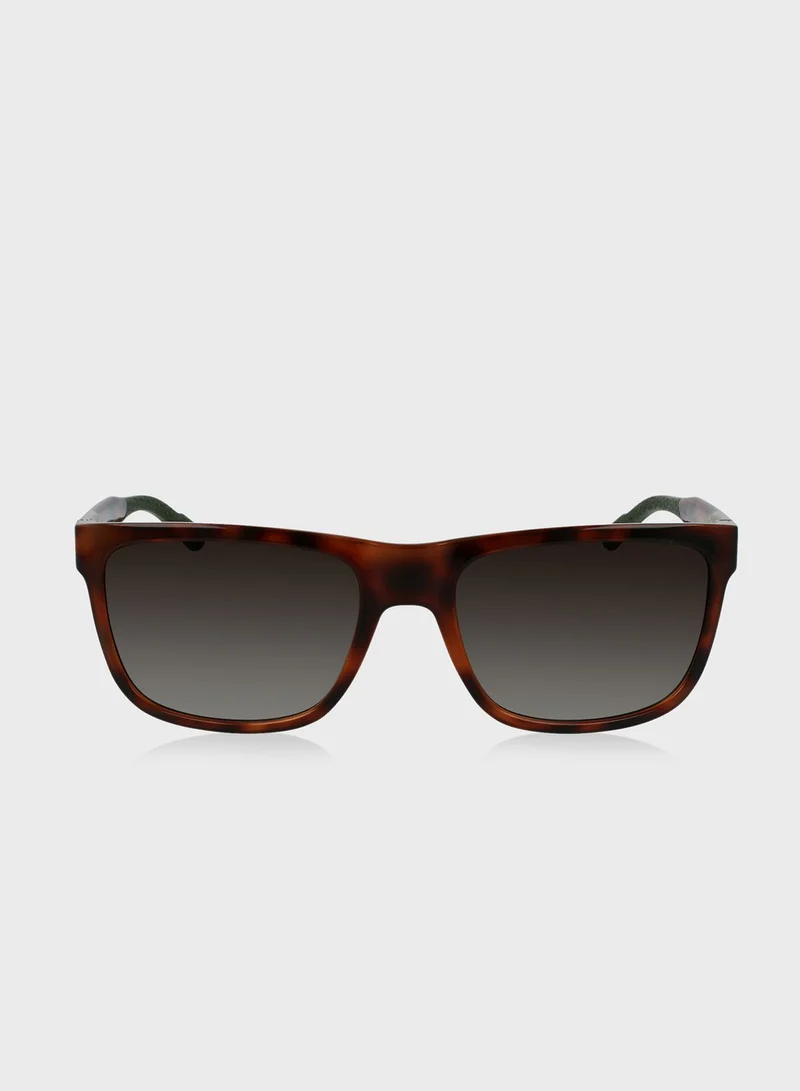 CALVIN KLEIN Wayfarer Sunglasses
