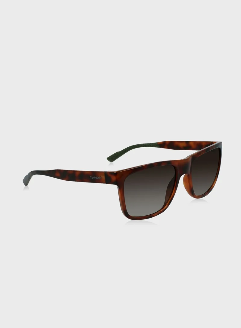 CALVIN KLEIN Wayfarer Sunglasses
