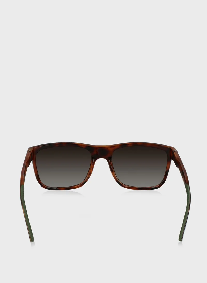 CALVIN KLEIN Wayfarer Sunglasses