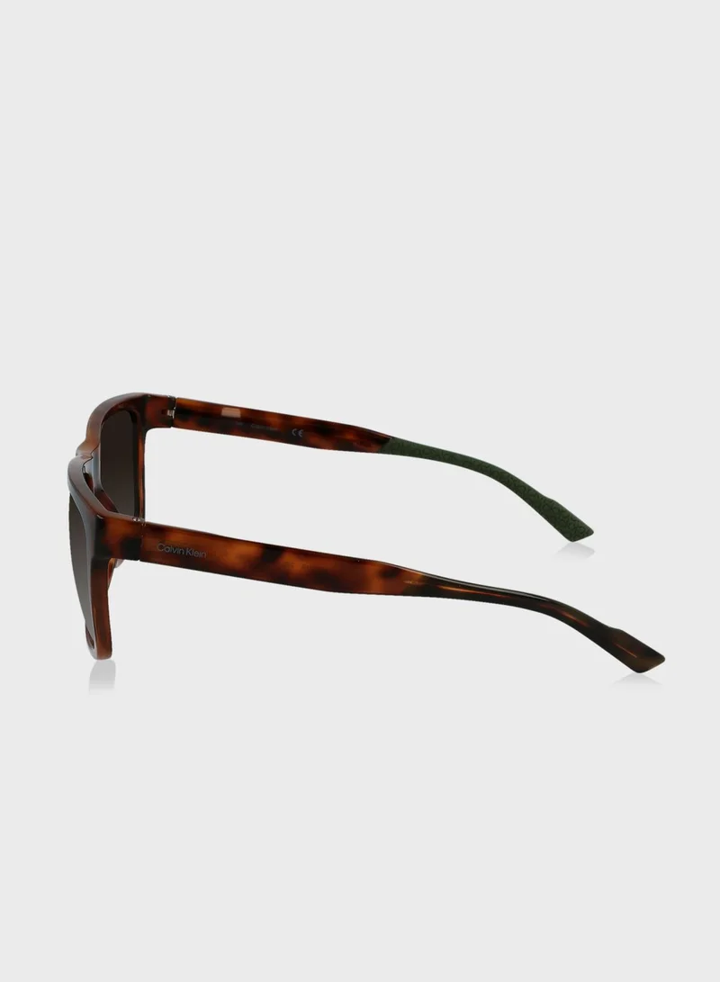 CALVIN KLEIN Wayfarer Sunglasses