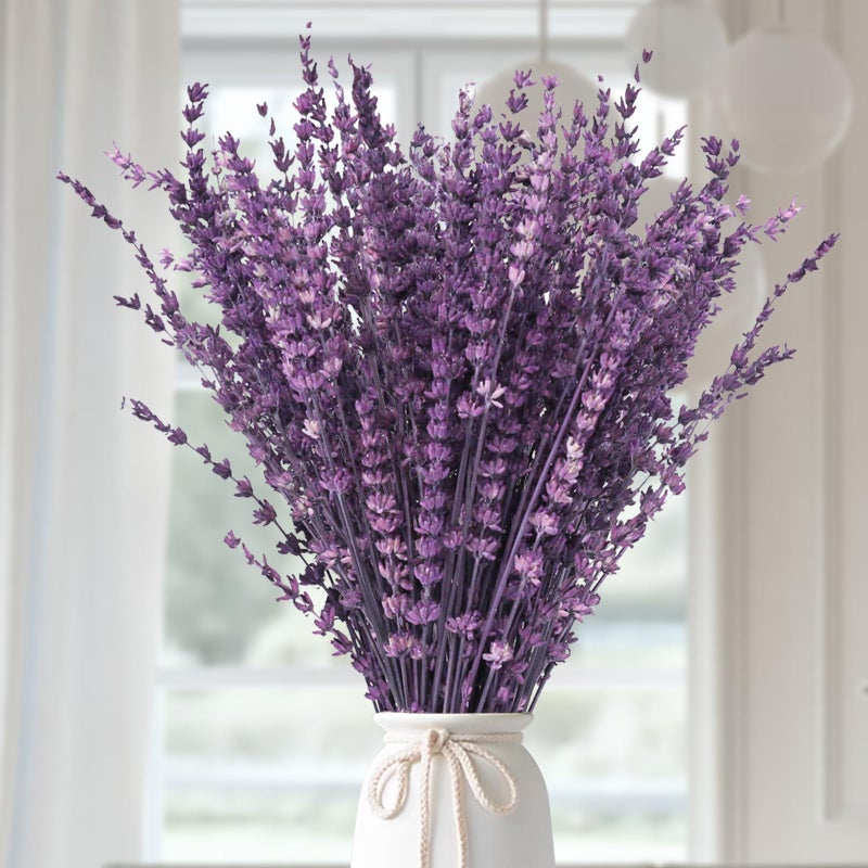 Dried Purple Lavender Flowers BundleDried Preserved Lavender Bouquet 1517 for Shower Weeding Home Vase Decor Crafts Aromatherapy Fragrance Fresh Silk Dry Live Plants 50g176oz