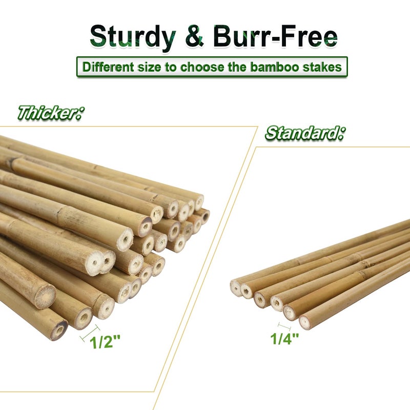 Jollybower 25pcs 1/2" D Thicker Heavy Duty Bamboo Stakes, 4FT Plant Stakes, Natural Garden Stakes for Tomato, Bean, Flowers,Trees Potted and Climbing Plant Support - Image 5