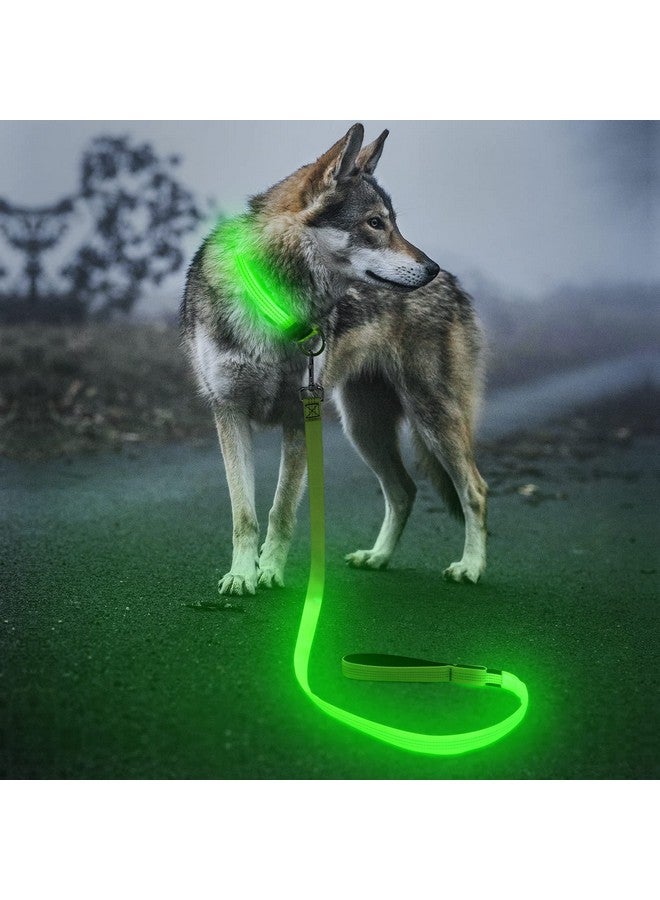 BSEEN Up Dog Leash - Bseen Rechargeable Nylon Webbing Glowing Pet Leash, Light Up Puppy Lead For Nighttime Dog Walking (47 Inch (120Cm), Reflective Green) - Image 1