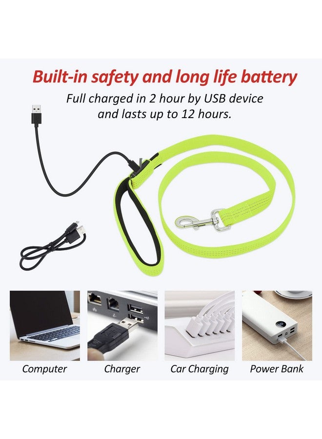 BSEEN Up Dog Leash - Bseen Rechargeable Nylon Webbing Glowing Pet Leash, Light Up Puppy Lead For Nighttime Dog Walking (47 Inch (120Cm), Reflective Green) - Image 2