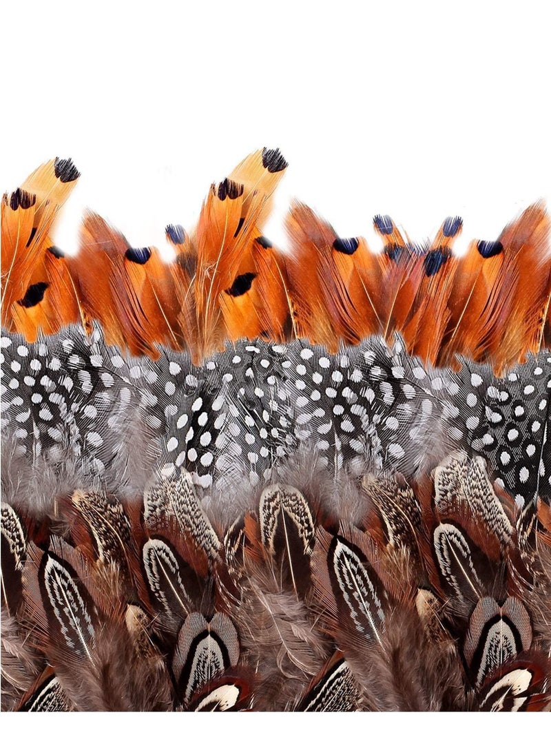 Excefore - Brown Feathers, 350pcs Natural Speckled Feathers for DIY Dream Catcher Crafts, costumes, hats handicrafts, home decor, DIY decoration (Length 2-3.2") - Image 1