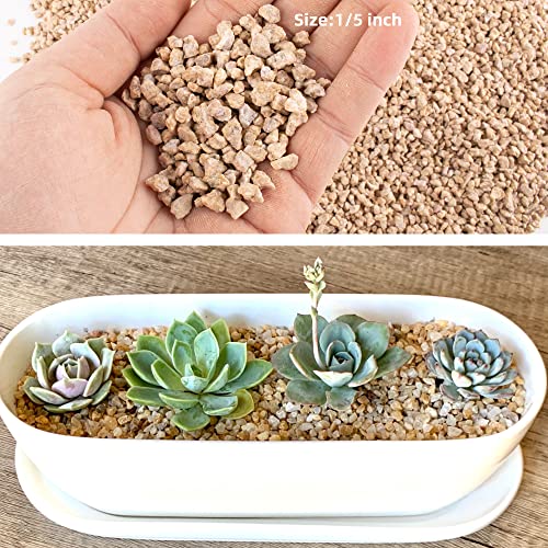 CJGQ 3lb Maifanitum Stones for Succulent Cactus Bonsai Decorative Rocks-Indoor Plants Soil Covers,Horticultural Gravel, Potting Pebbles for Terrarium, Fairy Gardening, Top Dressing - Image 3