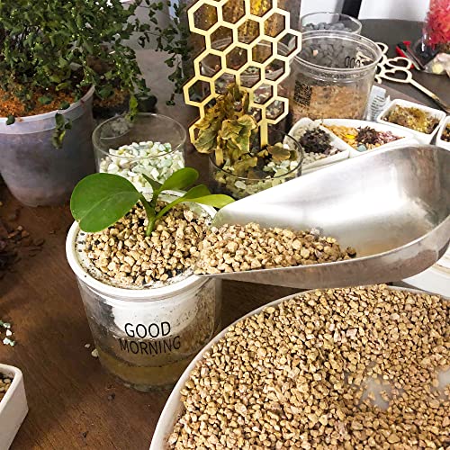 CJGQ 3lb Maifanitum Stones for Succulent Cactus Bonsai Decorative Rocks-Indoor Plants Soil Covers,Horticultural Gravel, Potting Pebbles for Terrarium, Fairy Gardening, Top Dressing - Image 5