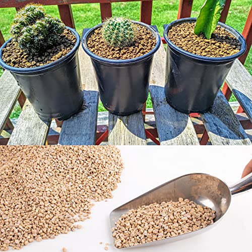 CJGQ 3lb Maifanitum Stones for Succulent Cactus Bonsai Decorative Rocks-Indoor Plants Soil Covers,Horticultural Gravel, Potting Pebbles for Terrarium, Fairy Gardening, Top Dressing - Image 4