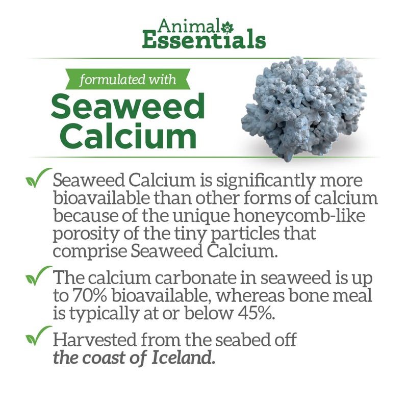 Animal Essentials Seaweed Calcium - Supplement for Dogs and Cats, High Digestibility, Pure Clean Icelandic Seaweed Calcium, Free of Lead and Hormones, Lab Tested, Magnesium - 12 Oz (Pack of 2) - Image 4
