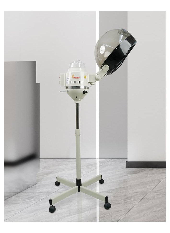 Beauty links - professional Hair steamer - Image 1