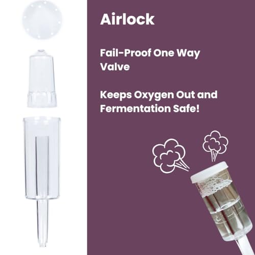 Gutbasket Fermenter 1 Liter Glass Fermentation Jar with Airlock and Lid | Ideal for Making Small Batches of Fermented Beverage at Home, Transparent - Image 3