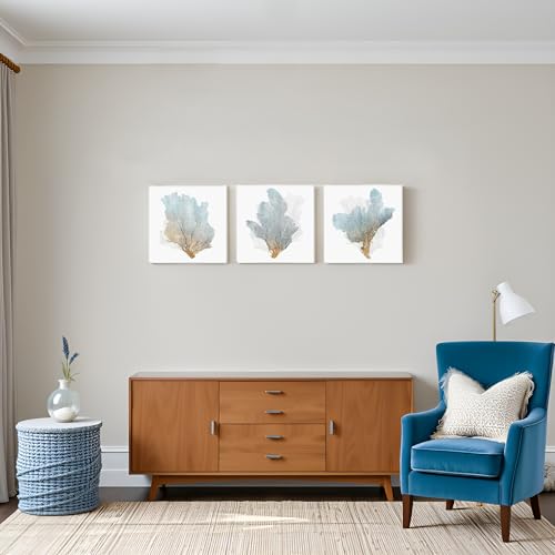 JAPO ART Delicate Coral Wall Decor for Bedroom Coastal Wall Art Home Decor Framed Sea Fan Pictures Nautical Prints Artwork for Bathroom Bedroom 16x16 x3pcs - Image 4