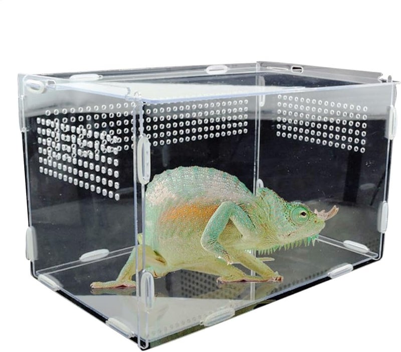 صندوق تغذية الزواحف الشفاف 28x18x18 سم موطن لعناكب الرتيلاء والعقارب والسرعوف - Image 2