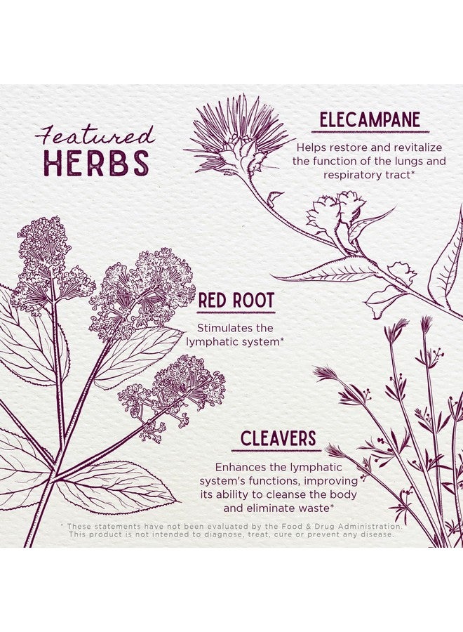 Wishgarden دعم يومي لقوة الجهاز التنفسي من ويش جاردن هيربز - مكمل عشبي لدعم الرئة قائم على النباتات مع المولين العضوي والإلكامبان، يدعم مرونة الرئة على المدى الطويل وكفاءة الرئة الأفضل، 4 أونصات - Image 4