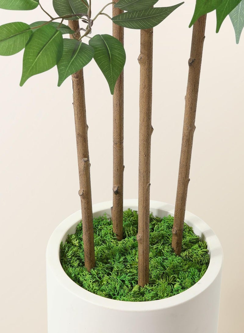 Arabest Ficus Artificial Tree 6ft Fake Silk Plant for Home Decor Indoor, Faux Floor Tree in White Imitation Ceramic Planter with Green Fake Moss for Home Office Corner Indoor Decor, Set of 1 - Image 5