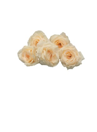 CAKE DECOR CAKE DECOR Large Rose Artificial Flower for Cake Decoration Light Yellow 5 pc Pack  - Image 2