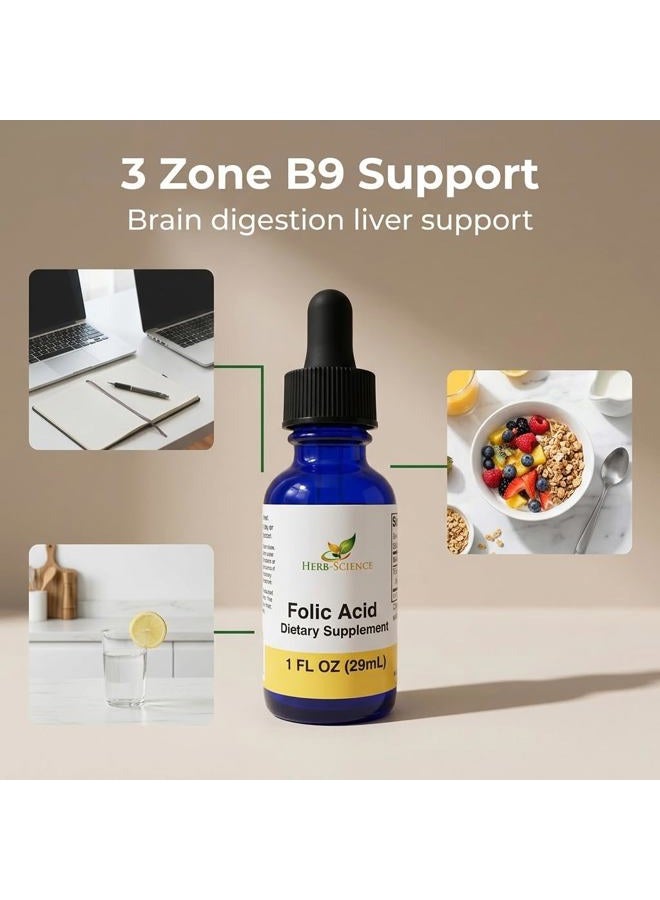 Herb-Science Liquid Vitamin B9 Drops – Liquid Folic Acid Drops – Alcohol-Free Extract - - Image 5