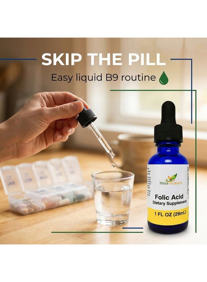 Herb-Science Liquid Vitamin B9 Drops – Liquid Folic Acid Drops – Alcohol-Free Extract - - Image 4