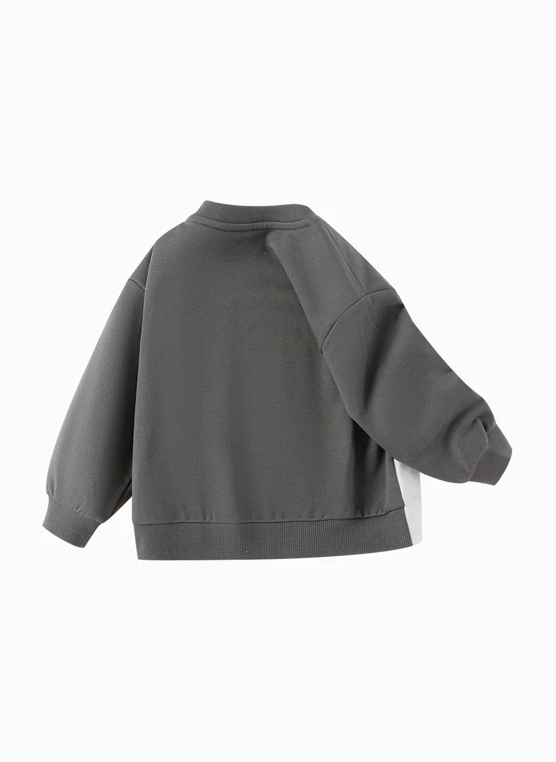 Balabala Toddler Boy Round neck sweatshirt